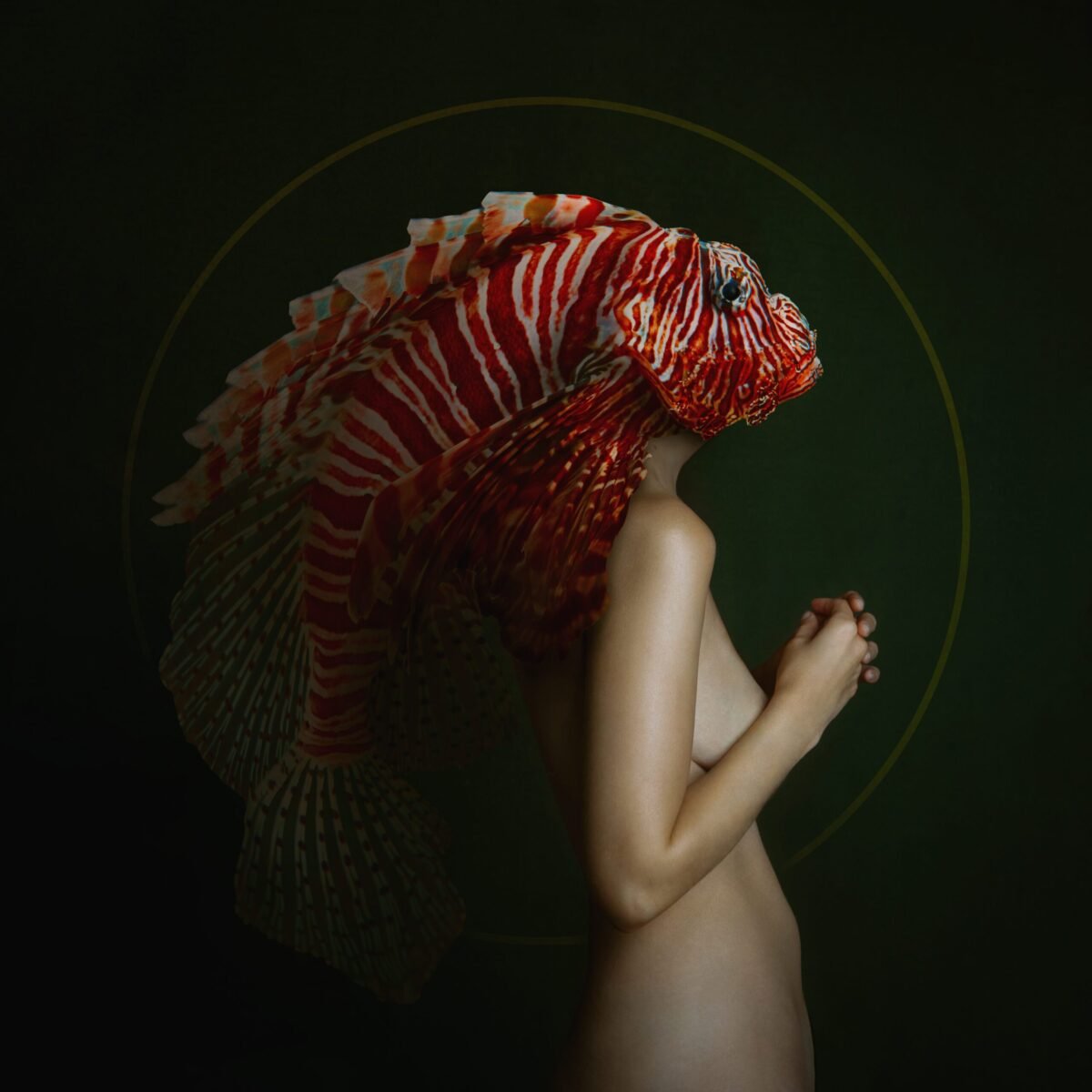 Mermaid by Deborah Zuanazzi