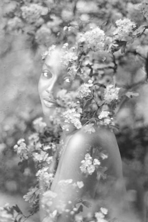 Queen of Flowers by Clara Diebler