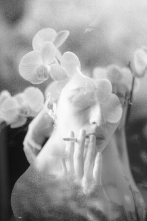 Smoke orchid by Clara Diebler